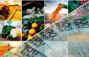 FINANCIAMENTO: Contratações do crédito rural somam R$ 230 bilhões em dez meses do Plano Safra