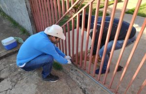 Prefeitura segue com vacinação Antirrábica itinerante nos bairros de Dourados