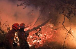 Combate direto e noturno segue como estratégia para controlar focos em seis pontos do Pantanal