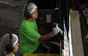 Mato Grosso do Sul tem 4.877 vagas de emprego em 35 municípios do Estado