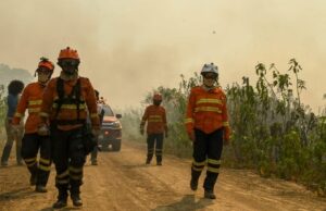 Pantanal: força-tarefa segue ativa para prevenir e combater incêndios em nova onda de calor e tempo seco