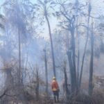 Operacao-Pantanal-Foto-Alvaro-Rezende-16-1-730×480 (1)