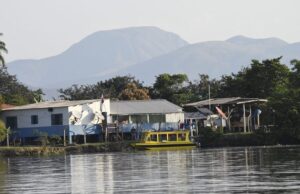 Maior que Portugal: mapa mostra imensidão do Pantanal em MS e desafios de logística no bioma