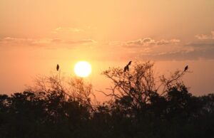 Previsão: tempo firme e calor intenso marcam a quarta-feira em Mato Grosso do Sul