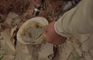 Boletim Epidemiológico: MS registra 15.188 casos confirmados de dengue