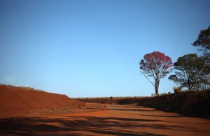 Com sol e nebulosidade, sexta-feira registra baixa umidade relativa do ar em Mato Grosso do Sul