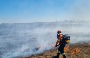 Com seca intensificada, MS mantém mobilização para combate aos incêndios florestais em biomas