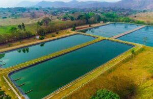 Sanesul preserva recursos naturais tratando 130 milhões de litros de esgoto por dia em MS