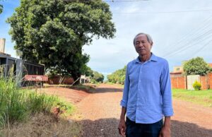 Ishy quer urgência no mapeamento de árvores em situação de risco de queda no município