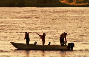 Modalidade ‘pesque e solte’ está liberada na calha do rio Paraguai a partir de sábado