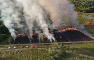 Imasul e Corpo de Bombeiros reforçam prevenção a incêndios com manejo integrado do fogo no Pantanal