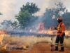 Bombeiros de MS se preparam para temporada de incêndios florestais com treinamentos e ações em campo