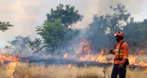 Bombeiros de MS se preparam para temporada de incêndios florestais com treinamentos e ações em campo