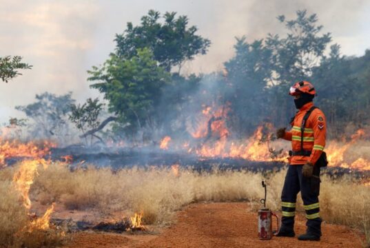 Bombeiros de MS se preparam para temporada de incêndios florestais com treinamentos e ações em campo