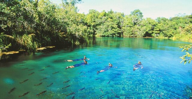 rio-formoso2-1024x529