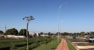 Prefeitura de Dourados conclui plantio de 360 mudas de ipês na Avenida dos Ipês