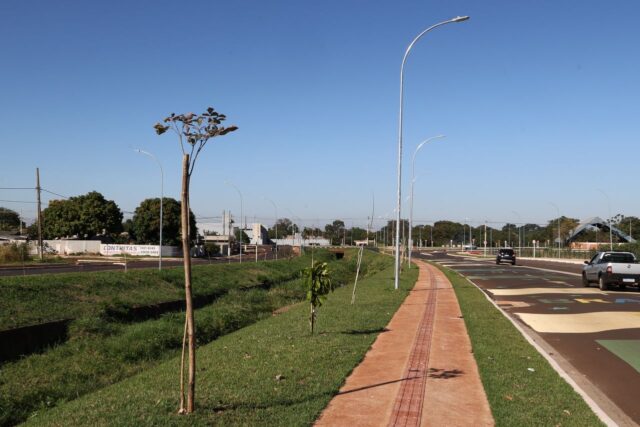 avenida-dos-ipes_-7 (1)