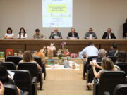 Seminário da Primeira Infância reúne profissionais e autoridades para fortalecer