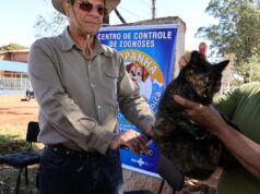 Prefeitura mantém vacinação antirrábica com pontos em bairros de Dourados