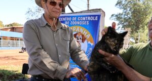 Prefeitura mantém vacinação antirrábica com pontos em bairros de Dourados