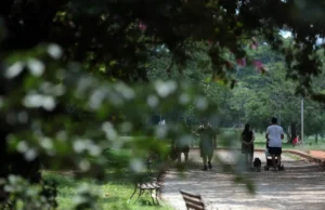 Frio perde intensidade no Sul e seca persiste no centro do país