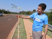 No Dia da Árvore, prefeito planta muda na Avenida dos Ipês, que também recebe espécies frutíferas