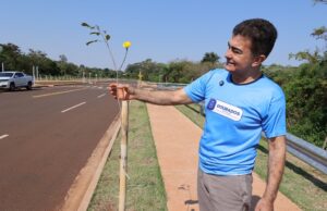 No Dia da Árvore, prefeito planta muda na Avenida dos Ipês, que também recebe espécies frutíferas