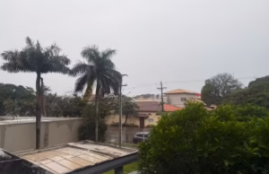 MS tem previsão de chuva forte e temporais nesta segunda; veja em quais cidades