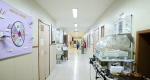 Saúde mental após perda gestacional requer atenção de profissionais