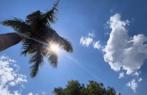 Alerta onda de calor: temperatura pode chegar a 42°C em MS com ‘grande perigo’ à saúde