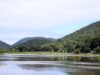 Com chuva e temperatura acima da média, El Niño pode causar onda de calor em MS