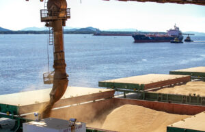 Agronegócio impulsiona exportações de MS, que crescem 12,5% até setembro
